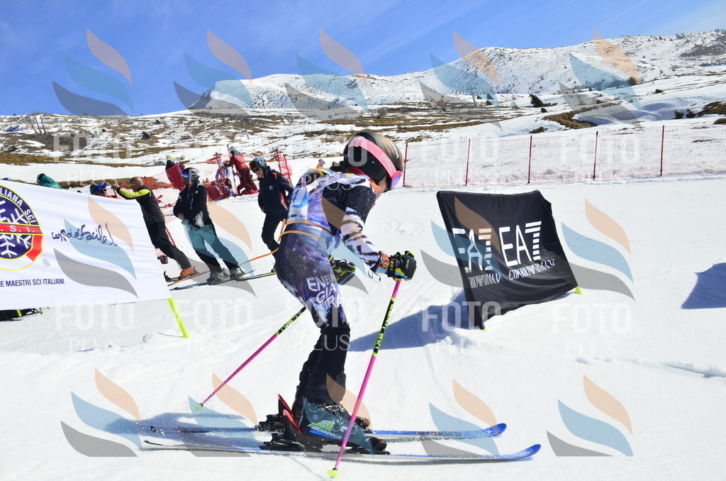 _ELE9819 | holidayphoto