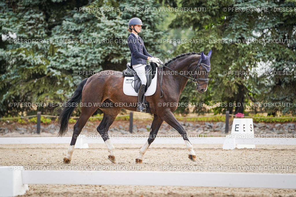 DSC01504 | Pferdegrafie