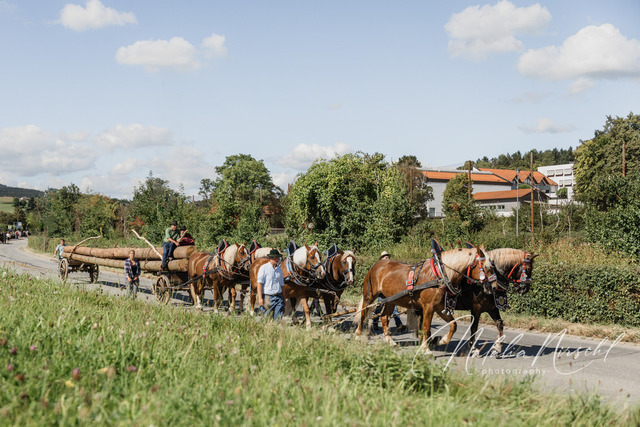 7V6A2407 | natalia-nirschl-photography