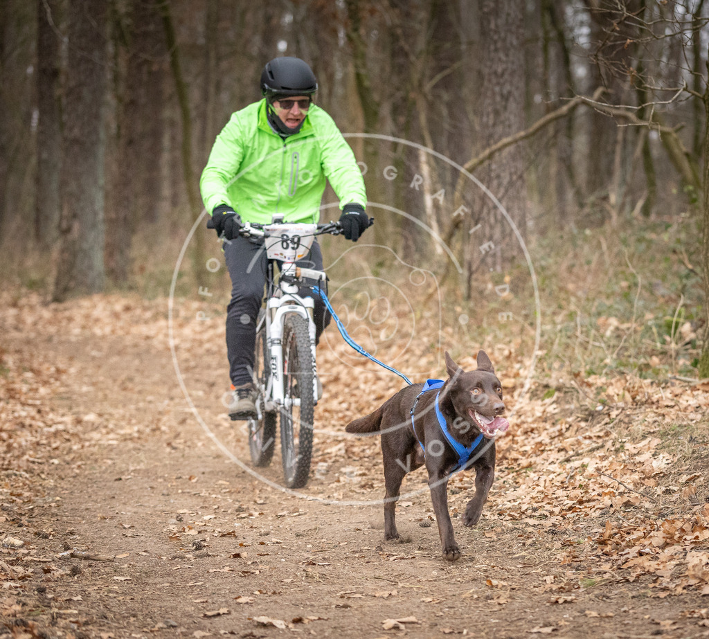 Pfotenfotografie_DV3A6518 | Hundefotografie, Tierfotograf, Pfotenfotografie, Fotoshooting Hund, Hunde Portrait, Hundesport, Hundeportraits, Heideshooting, Hunde, Sportfotograf, Hundefotograf, Turnierhundsport, THS,  - Realisiert mit Pictrs.com