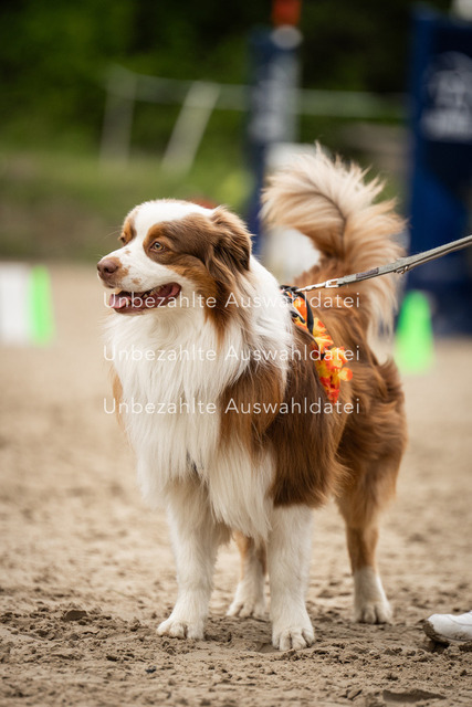 Bad_Meinberg_01093 | saradresslerfotografie - Realisiert mit Pictrs.com
