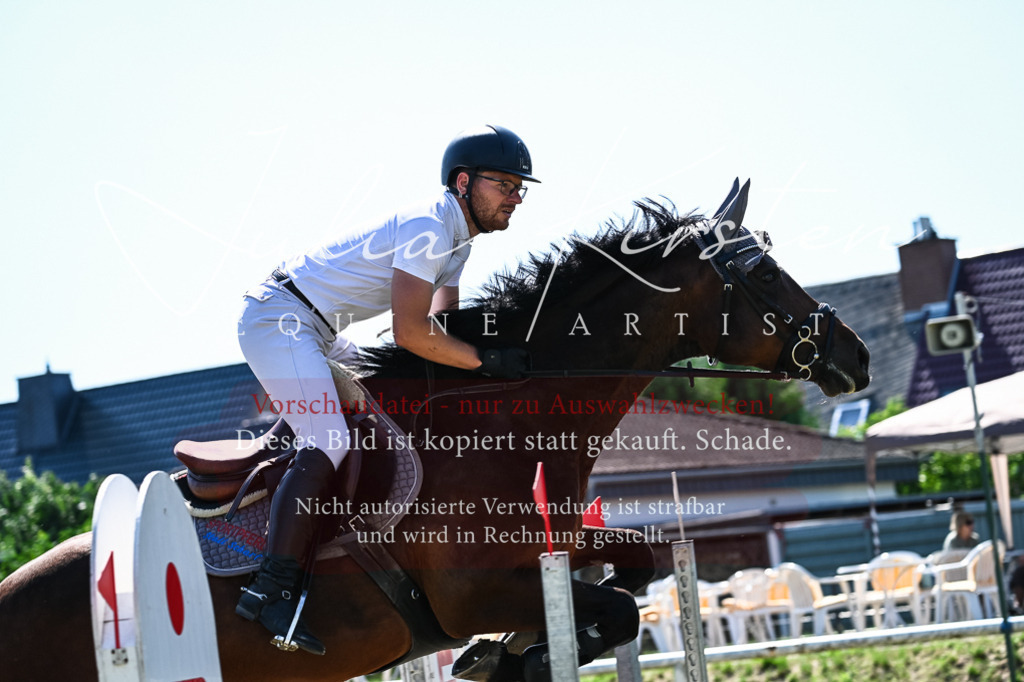 DSC_1662 | Pferde- und Turnierfotografie in Westsachsen. Pferdeportraits, Auftragszeichnungen und intuitive Kunst.