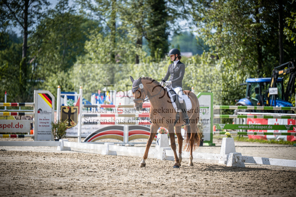 DOS_4633 | Reitturnier Venne - Realisiert mit Pictrs.com
