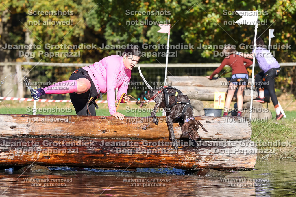 Dog Paparazzi - Strongdog 10-25-8918 | Dog Paparazzi Jeanette Grottendiek Fotografie & Videografie - Realisiert mit Pictrs.com