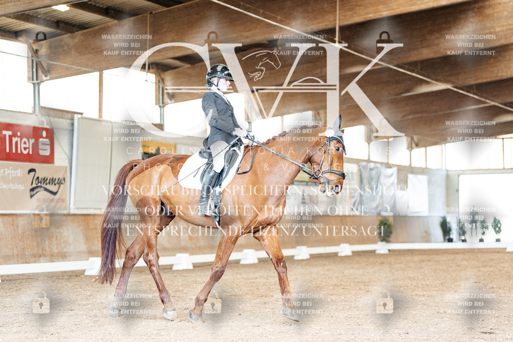 CK901064 | Turnierfotografie Pferdefotografie Trier Rheinland-Pfalz Pferdesport Reitsport Tierfotografie Sportfotografie Pferdevideo Pferdevideografie Equestrianvideography equestrianphotography  - Realisiert mit Pictrs.com