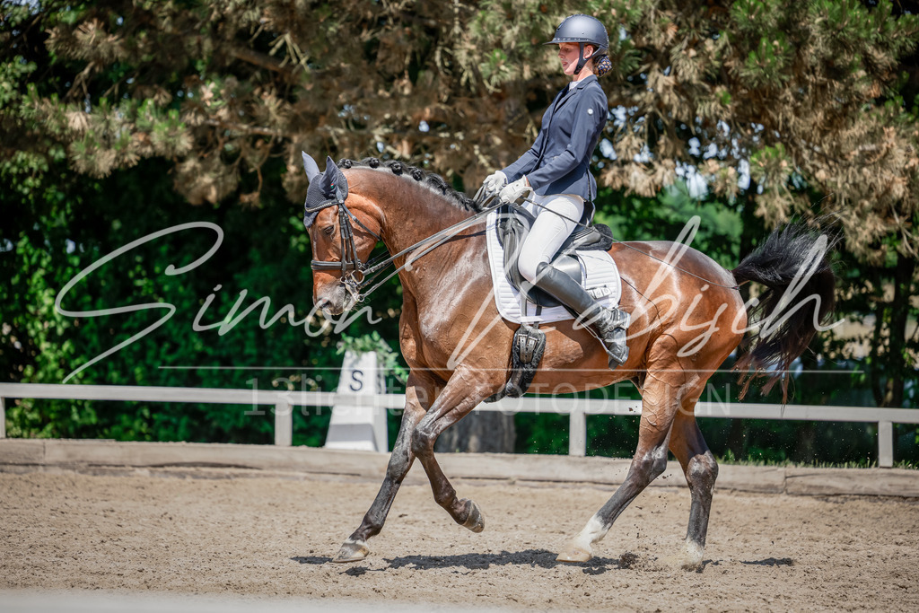 20250621-_3LI8726 | Tierfotografie Pferde, Hunde, Katzen, Haustiere.
Turnierfotografie Reitturniere, Reiten, Springreiten, Dressur in Hanau, dem Main-Kinzig-Kreis und dem Rhein-Main- Gebiet um Frankfurt