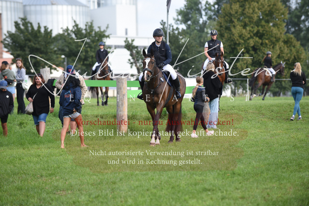DSC_8601 | Pferde- und Turnierfotografie in Westsachsen. Pferdeportraits, Auftragszeichnungen und intuitive Kunst.