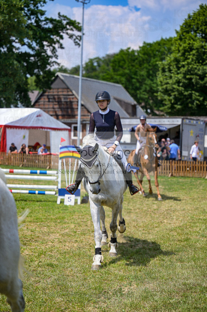 Reitturnier Voxtrup | Entdecke hochwertige Reitturnierfotos von Foto Oger. Professionell, emotional und authentisch – jetzt Lieblingsmomente im Shop bestellen.Deutschlandweite Turnierfotografie. - Realisiert mit Pictrs.com