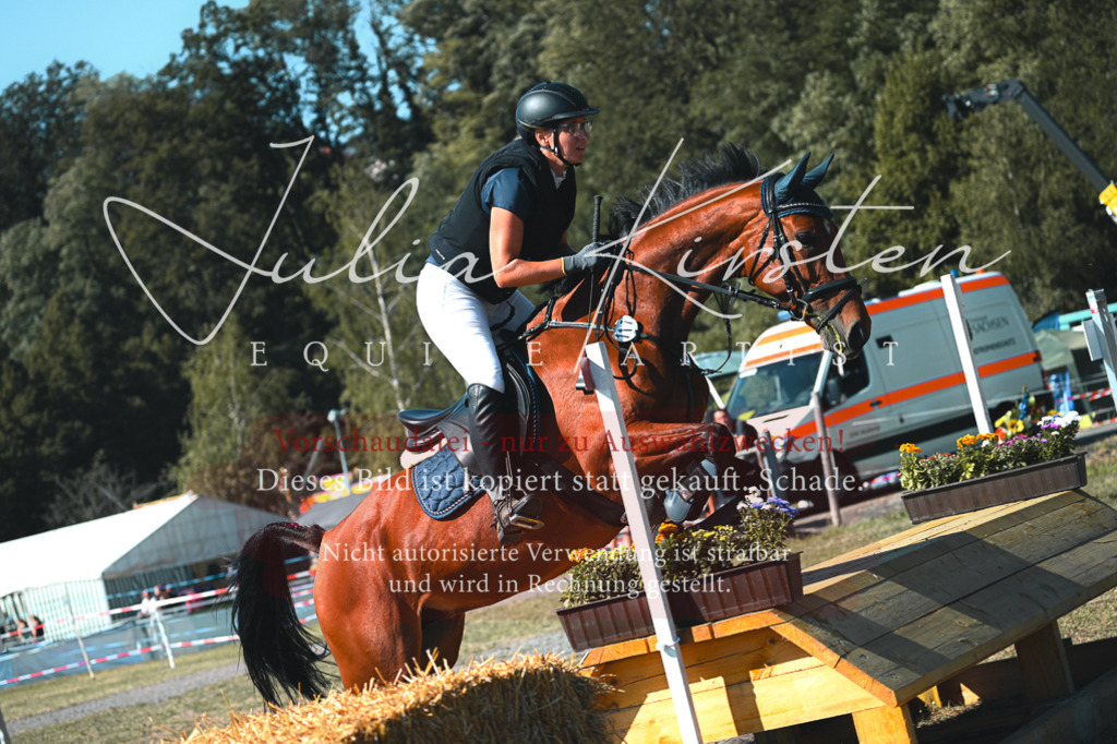DSC_7868 | Pferde- und Turnierfotografie in Westsachsen. Pferdeportraits, Auftragszeichnungen und intuitive Kunst.