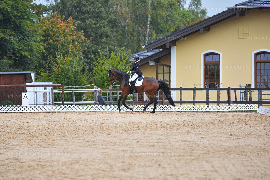 8_1-020-Klasse S_  -Marixx-4364 | working equitationturnier fotograf videograf stoibphotography marixx film working equitation deutschland reitsport turnierfotografie eventfotografie equestrian events