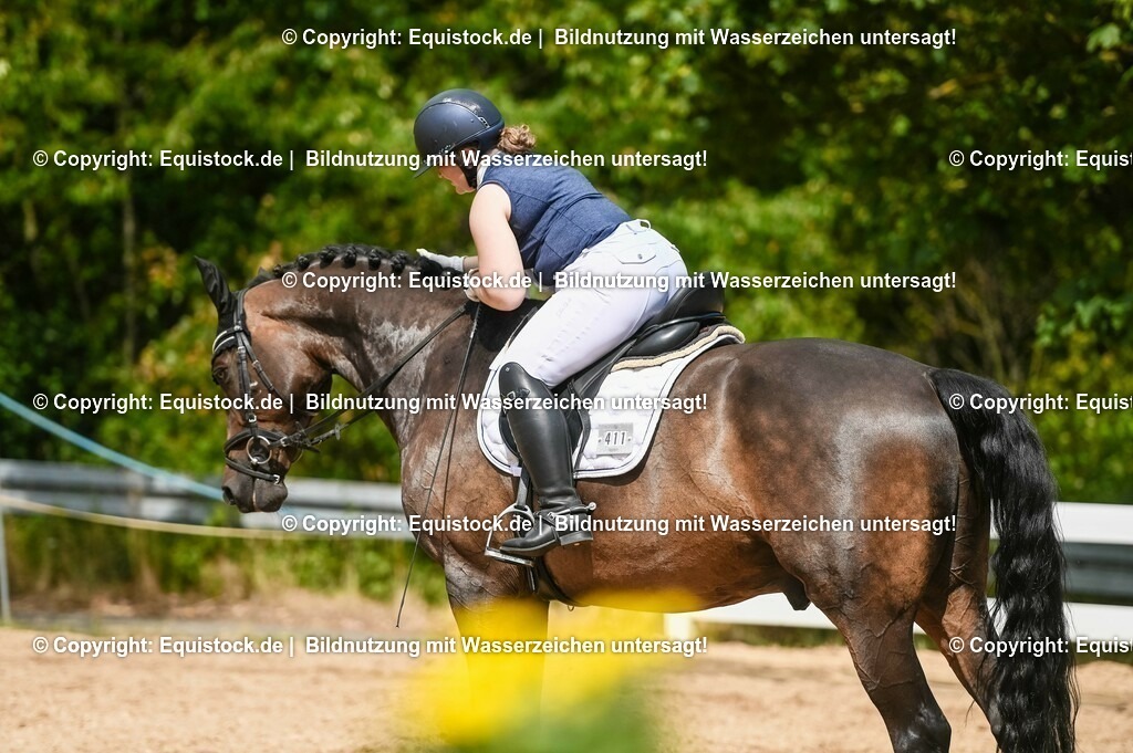 20230715_02_Dressurreiterprüfung Kl.L_0387 | equistock