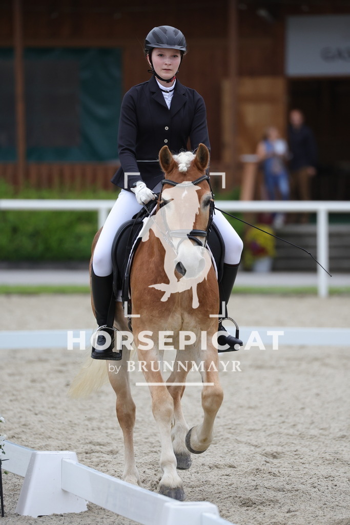 0P6A3247 | Willkommen bei Brunnmayr - Design & Fotografie – Ihrem Spezialisten für Reitturniere und Pferdeveranstaltungen in Oberösterreich, Salzburg und Bayern! Seit über 17 Jahren sind wir leidenschaftlich dabei.