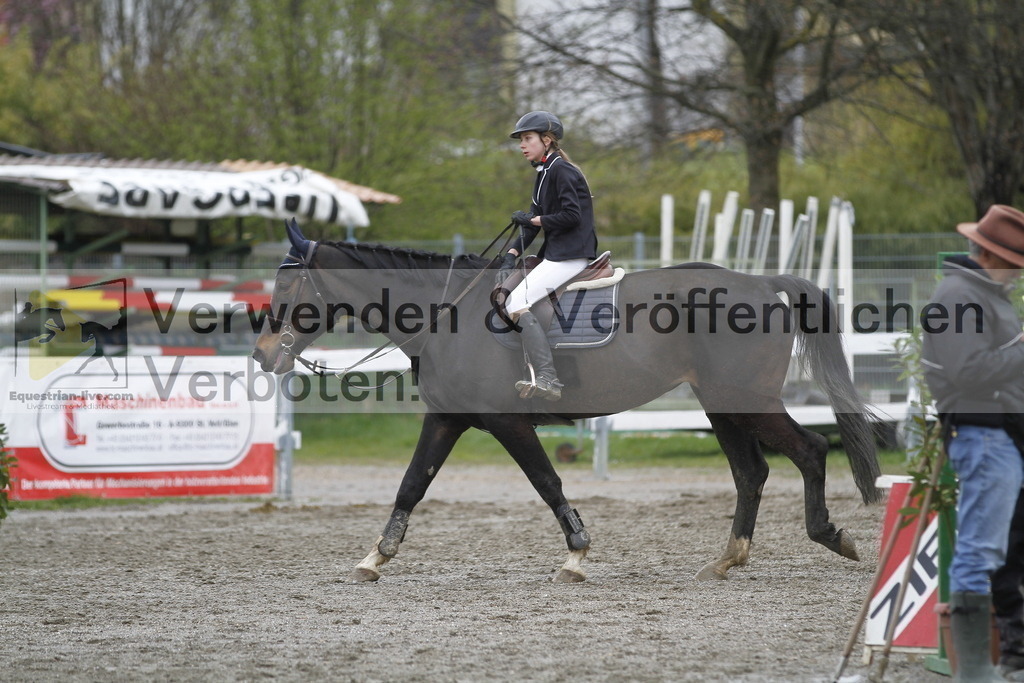 _MG_3491 | equestrian-live-com