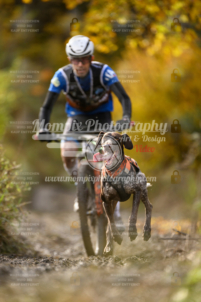 MompixPhotography_ICF_WC_2024_SA_Bike_-296 | PayLife
