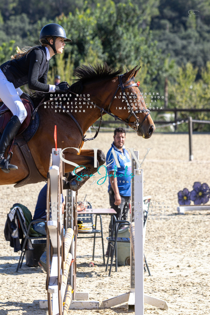 IMG_6406 | s-jay-photography - Realisiert mit Pictrs.com