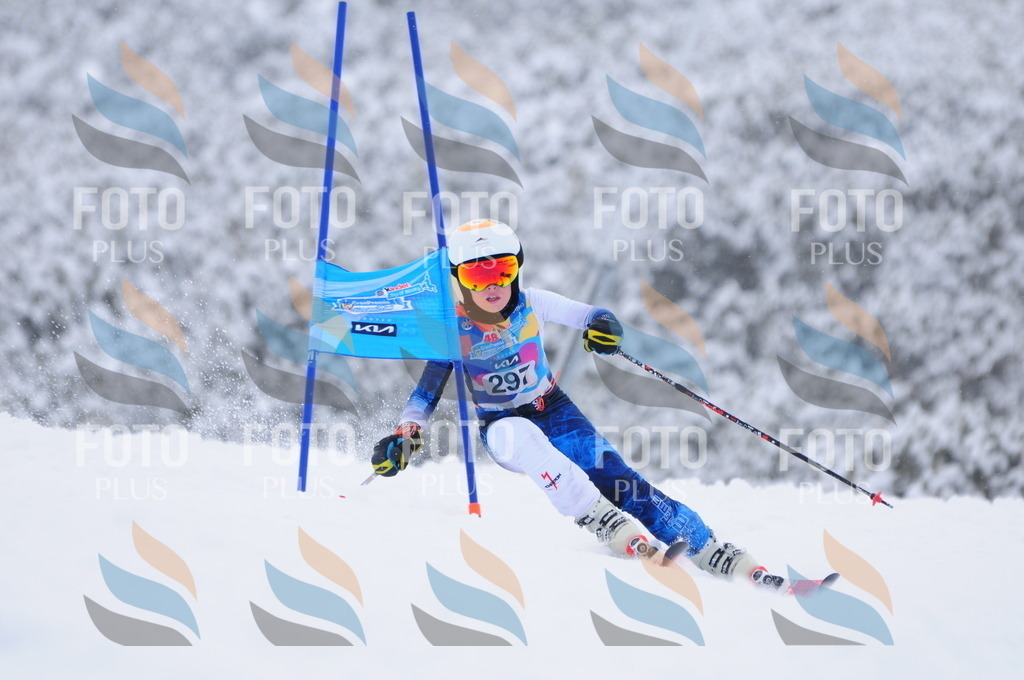 C3131 | holidayphoto