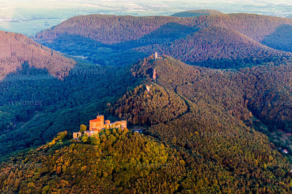 Luftbild: Burg Trifels und die Burgruinen Anebos, Scharfenberg(Münz) im Morgenlicht über dem Pfälzerwald in Annweiler am Trifels im Bundesland Rheinland-Pfalz in Deutschland. Foto: IMG_109281.jpg vom 27.07.2018 durch Werner Riehm/FLY-FOTO.de