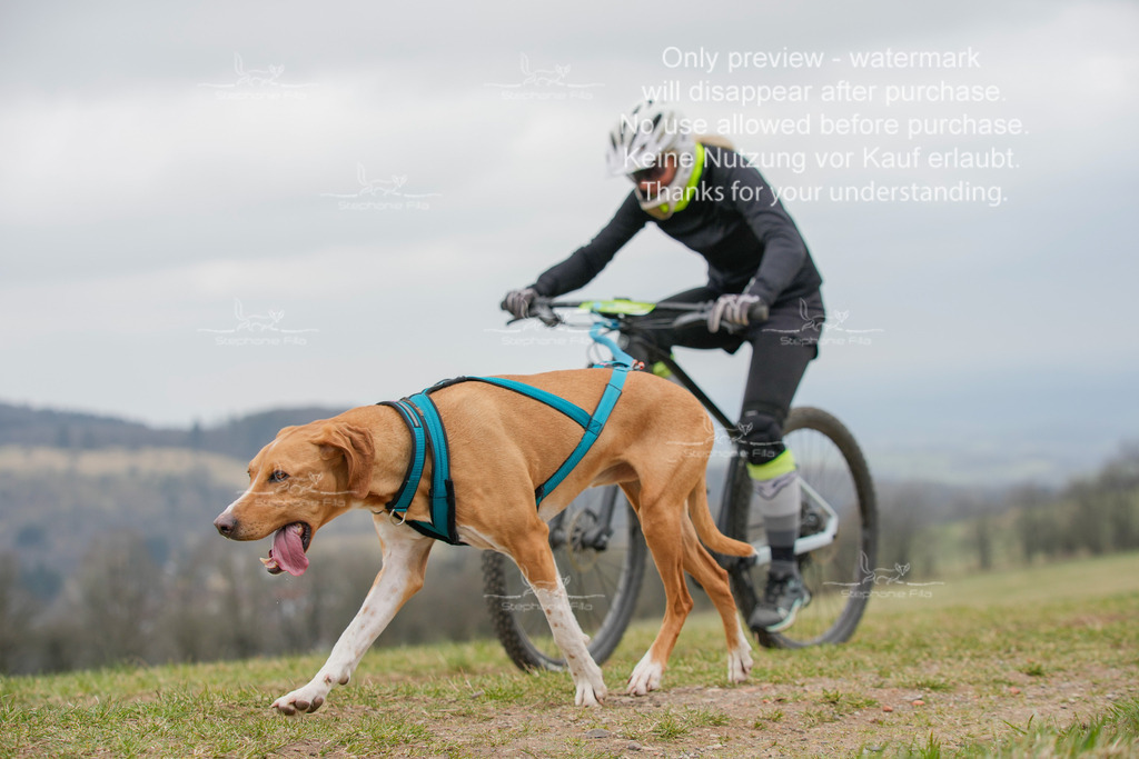 BikeSA-316 | stephaniefillaphotographie - Realisiert mit Pictrs.com