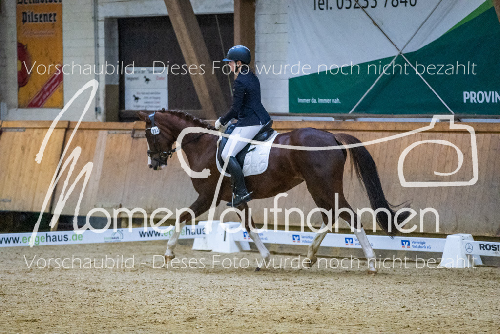 Sth-WBO25-DrR-078 | MomenTaufnahmen Pferdesportfotos