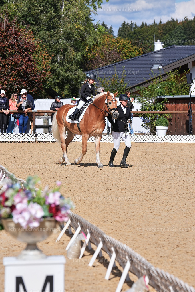 01--Ponyführzügel -Marixx-6010 | working equitationturnier fotograf videograf stoibphotography marixx film working equitation deutschland reitsport turnierfotografie eventfotografie equestrian events