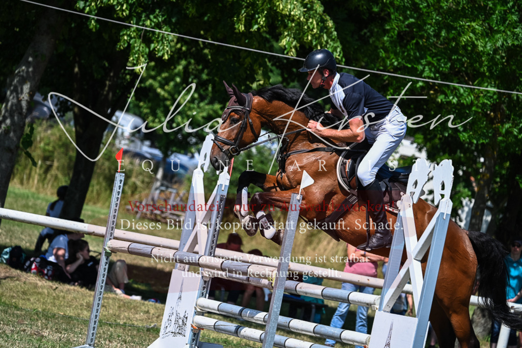 DSC_1292 | Pferde- und Turnierfotografie in Westsachsen. Pferdeportraits, Auftragszeichnungen und intuitive Kunst.
