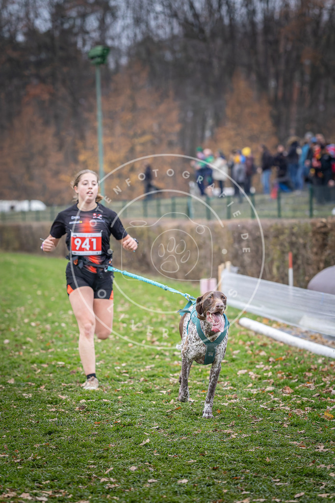 CaniXpix_DV3A7205 | Hundefotografie, Tierfotograf, Pfotenfotografie, Fotoshooting Hund, Hunde Portrait, Hundesport, Hundeportraits, Heideshooting, Hunde, Sportfotograf, Hundefotograf, Turnierhundsport, THS,  - Realisiert mit Pictrs.com