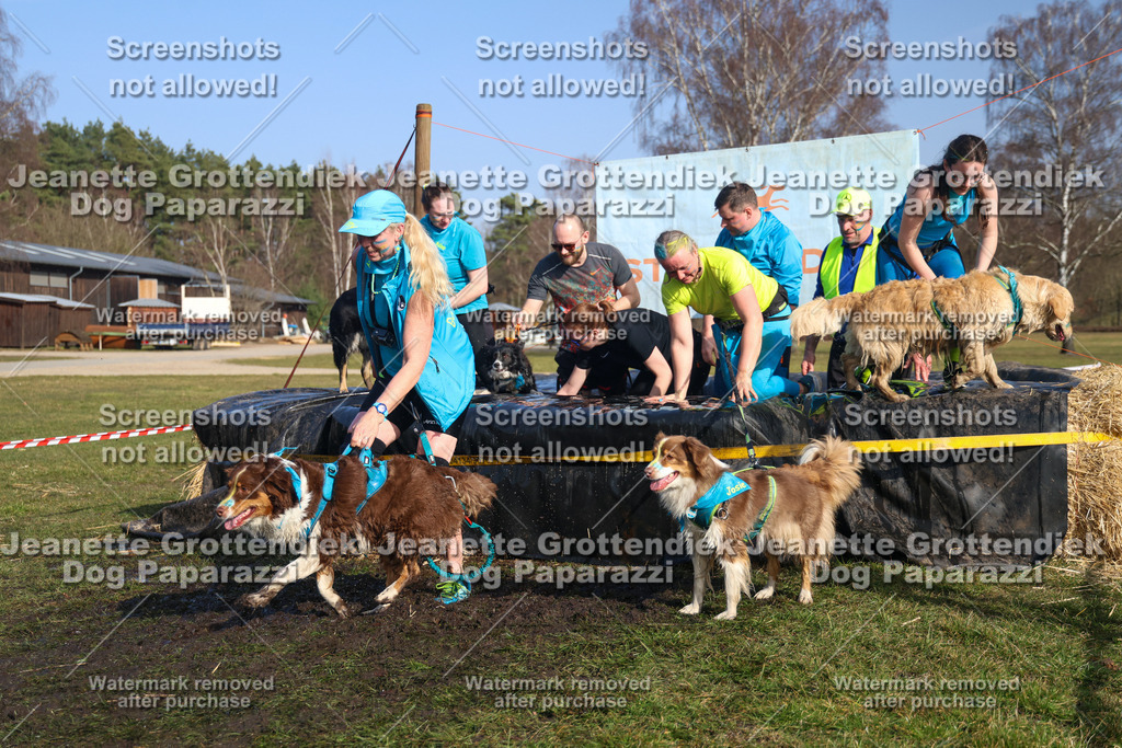 Dog Paparazzi - Strongdog North Mrz26-3289 | Dog Paparazzi Jeanette Grottendiek Fotografie & Videografie - Realisiert mit Pictrs.com