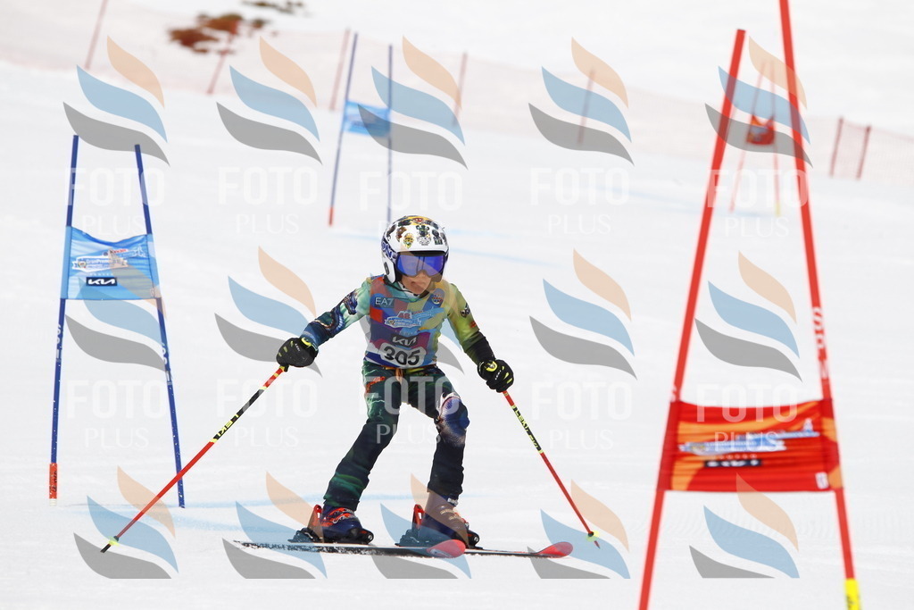 _U3G7594 | holidayphoto