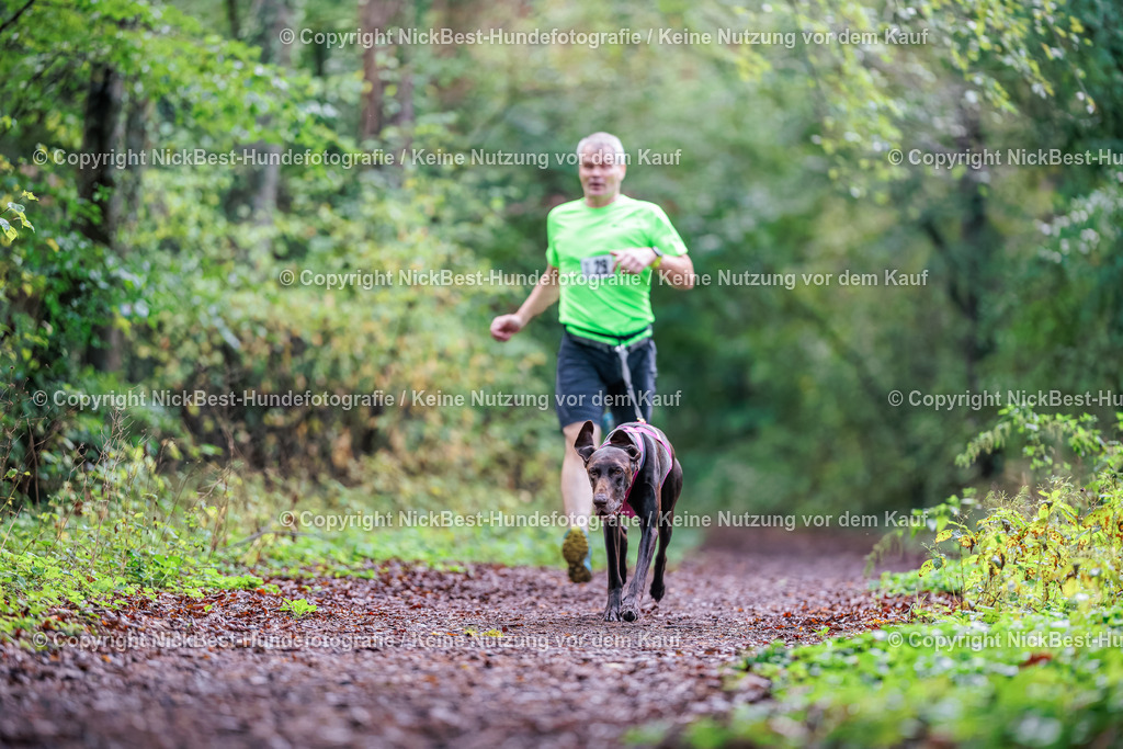 THS-HSV-Blumenthal-2026-Nickbest-Hundefotografie-0207 | Dein Hund! Dein Moment! Deine Erinnerungen! Hundefotografie in Bremen Blumenthal. Ich fange die besonderen Momente deines Vierbeiners ein – ob Indoor mit Blitzanlage oder in der freien Natur. Sicher dir dein Moment und dein Termin für eure Erinnerungen.