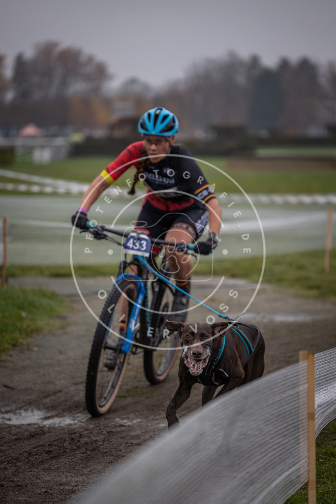 CaniXpix_0L8A1361 | Hundefotografie, Tierfotograf, Pfotenfotografie, Fotoshooting Hund, Hunde Portrait, Hundesport, Hundeportraits, Heideshooting, Hunde, Sportfotograf, Hundefotograf, Turnierhundsport, THS,  - Realisiert mit Pictrs.com