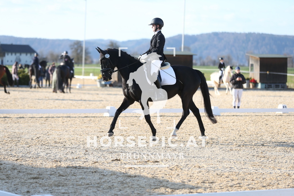 AS8V2157 | Willkommen bei Brunnmayr - Design & Fotografie – Ihrem Spezialisten für Reitturniere und Pferdeveranstaltungen in Oberösterreich, Salzburg und Bayern! Seit über 17 Jahren sind wir leidenschaftlich dabei.