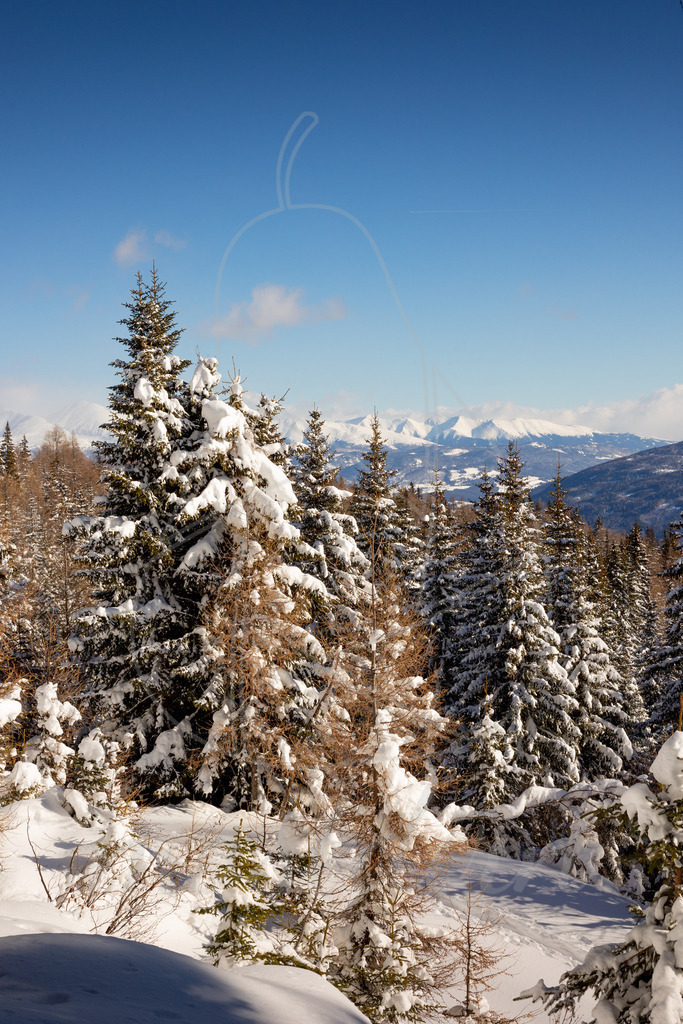 Winterzauber Aineck | Bei Veröffentlichung des Bildes ist eine Namensnennung wie folgt erforderlich: 
Foto: Mostdirn Irmgard Wieser
 - Realisiert mit Pictrs.com