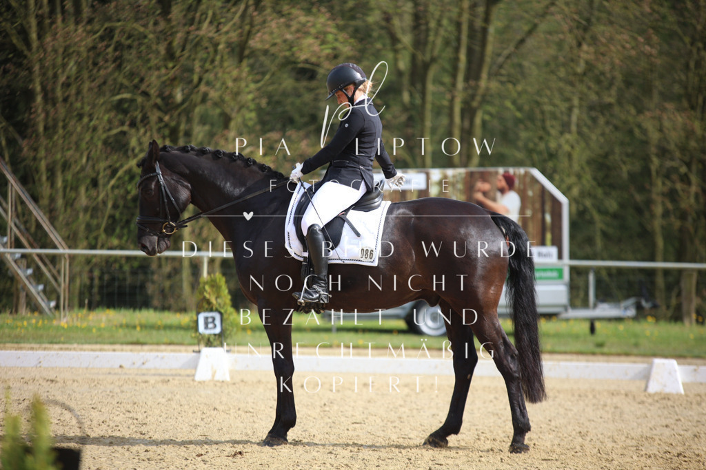 IMGT6152 | pl-fotografie