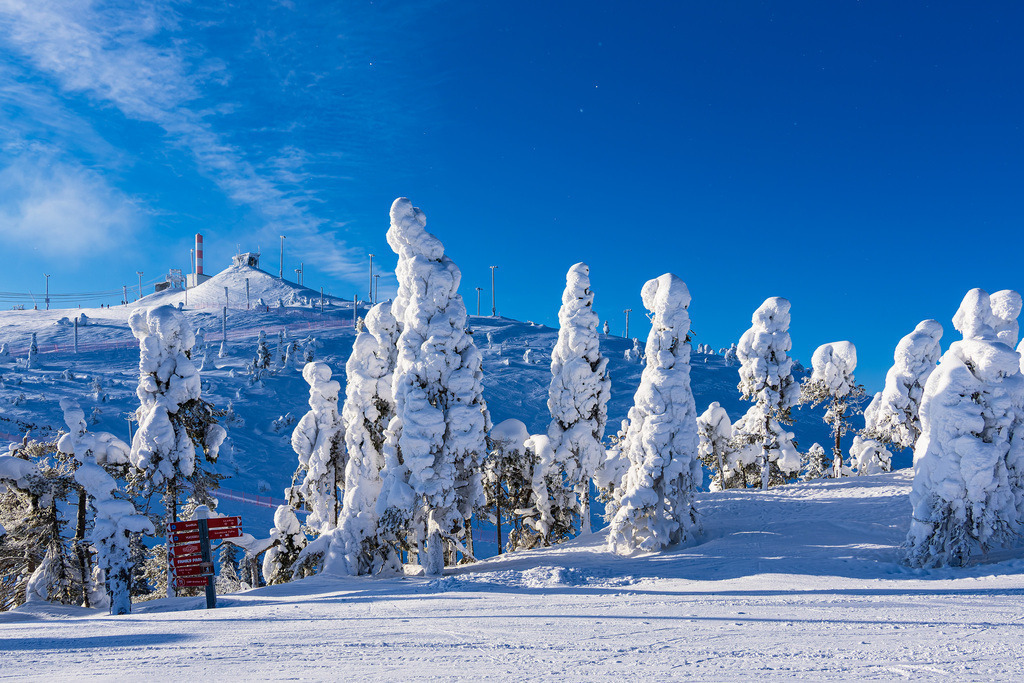 Landschaft mit Schnee im Winter in Ruka, Finnland | Landschaft mit Schnee im Winter in Ruka, Finnland.