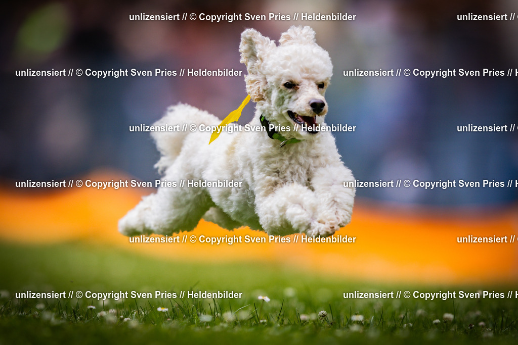 Sven Pries | 2025-05-29 - Pudelrennen KA-Durlach - Realisiert mit Pictrs.com