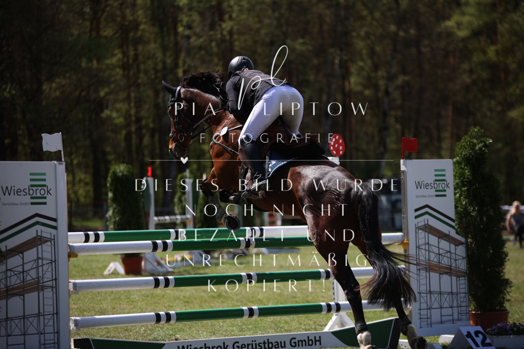 IMGT1208 | pl-fotografie