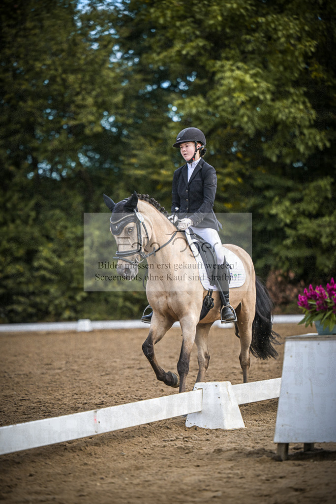 DOS_2432 | Entdecke hochwertige Reitturnierfotos von Foto Oger. Professionell, emotional und authentisch – jetzt Lieblingsmomente im Shop bestellen.Deutschlandweite Turnierfotografie. - Realisiert mit Pictrs.com