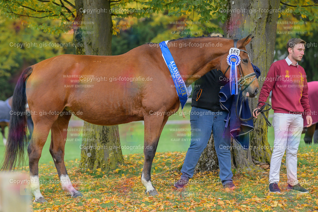 145_Fanni_v.Johnson_Wagner_251018_13_gis | gis-fotografie