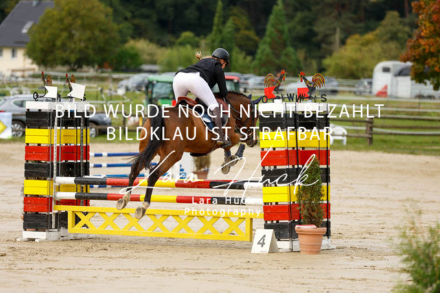 _62_8993 | larahueckfotografie