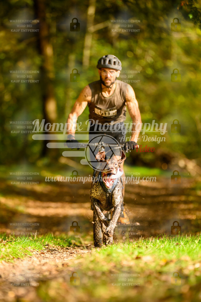 MompixPhotography_20TSB_E1_DS1-7 | PayLife