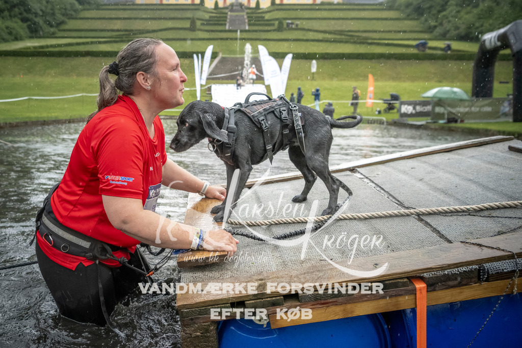 1327_ZZ98464 | kk-dogfotos