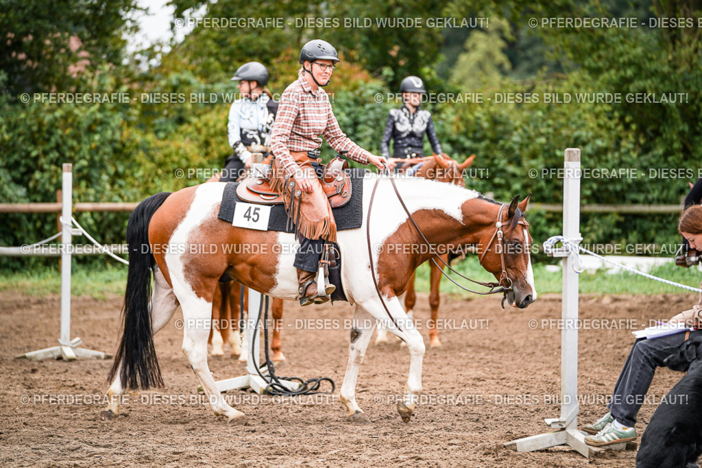 DSC04111 | Pferdegrafie