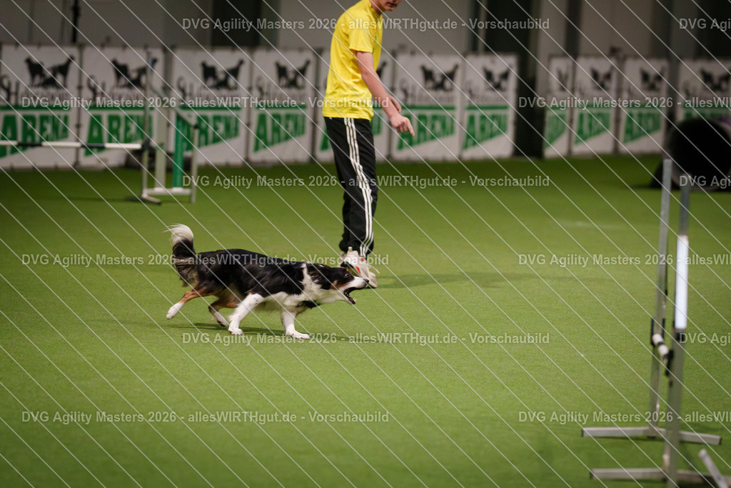 allesWIRTHgut_Tierfotografie-DVG_Agility_Masters_2026-07_21-7R507187 | Professionelle Tierfotografie in Mönchengladbach von Daniel Wirth (allesWIRTHgut). Liebevolle & natürliche Bilder von Hunden & Katzen für unvergessliche Erinnerungen.