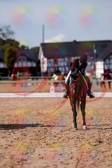 2026_10_03_Siefer-Hof_125855_Z81_49607101 | Professionelle Reitsport-, Turnier- und Eventfotografie von Robert Broda. Galerien mit ausgewählten und bearbeiteten Bildern direkt online ansehen und bestellen.