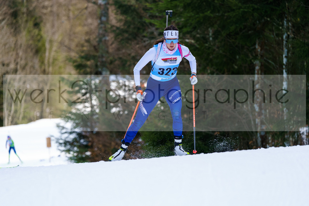 FESA Alpencup / DP Notschrei | Deutschland Pokal Finale im Schwarzwald NORDIC-CENTER Notschrei am 7. - 8. Februar 2026