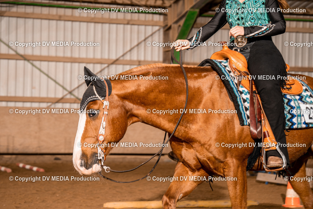 BA400117 | dv-media-shop - Realisiert mit Pictrs.com