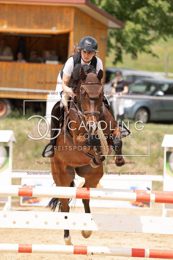 DSC06751 | Springturnier_Ehingen_Mai_2026, Jennifer_Güldner, Corvey_6