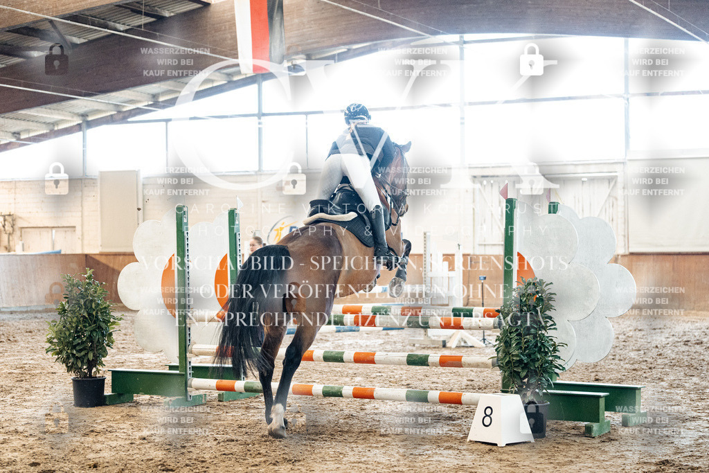 CK904800 | Turnierfotografie Pferdefotografie Trier Rheinland-Pfalz Pferdesport Reitsport Tierfotografie Sportfotografie Pferdevideo Pferdevideografie Equestrianvideography equestrianphotography  - Realized with Pictrs.com