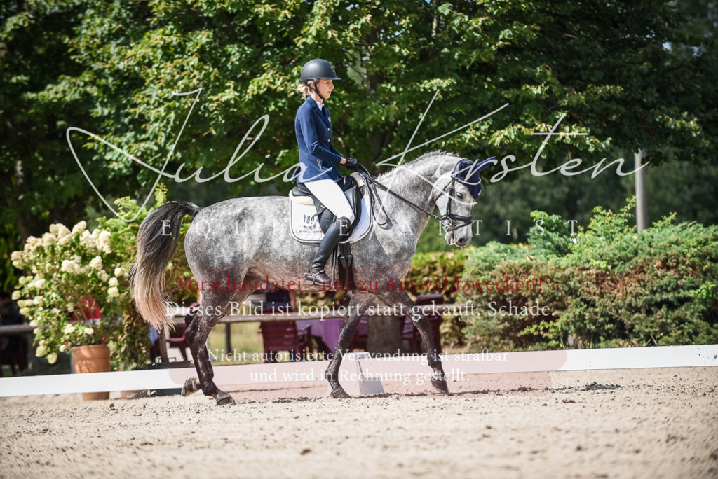 DSC_9266 | Pferde- und Turnierfotografie in Westsachsen. Pferdeportraits, Auftragszeichnungen und intuitive Kunst.