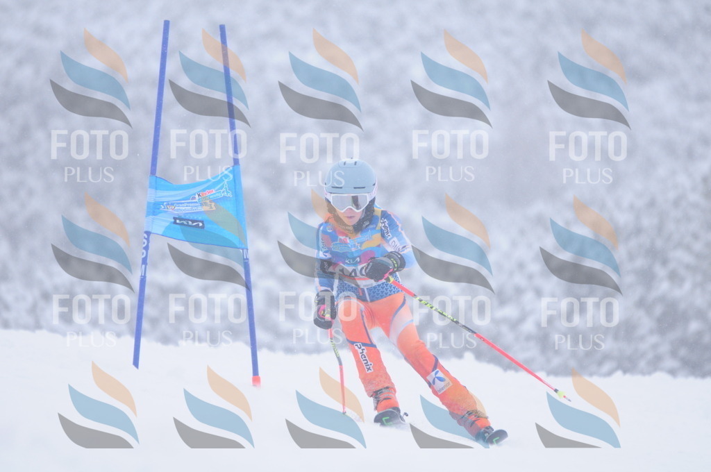 C1790 | holidayphoto